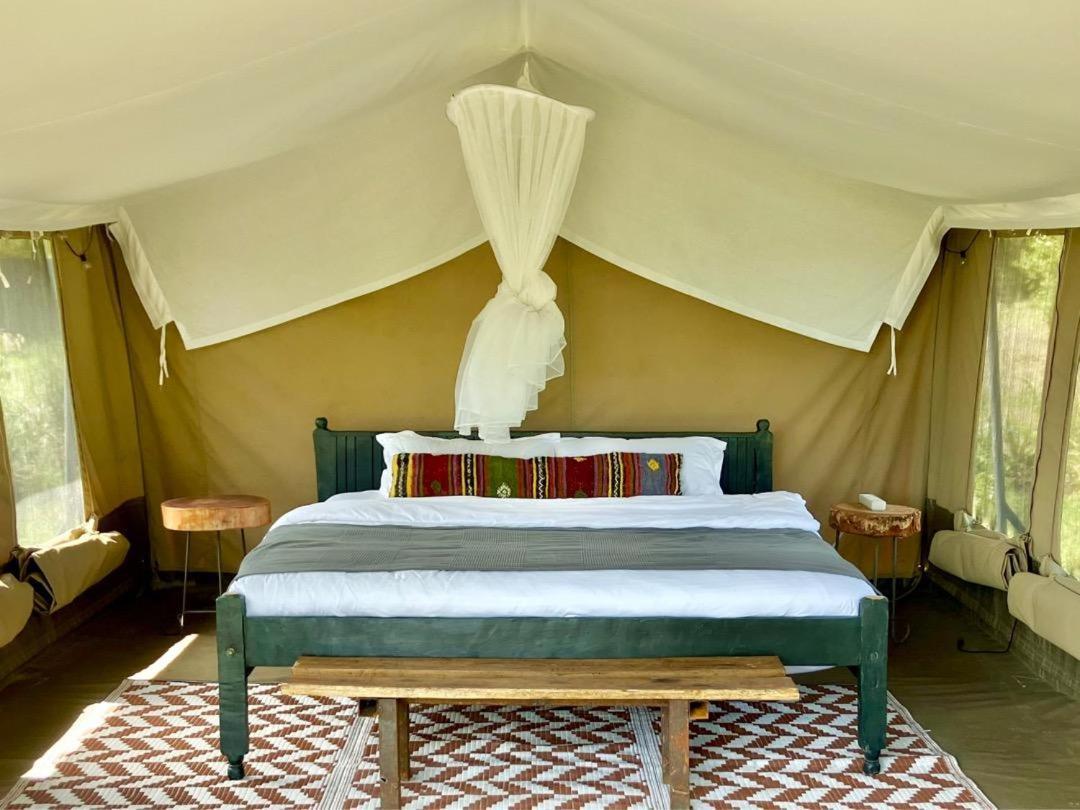 Kambu Mara Camp Otel Sekenani Oda fotoğraf