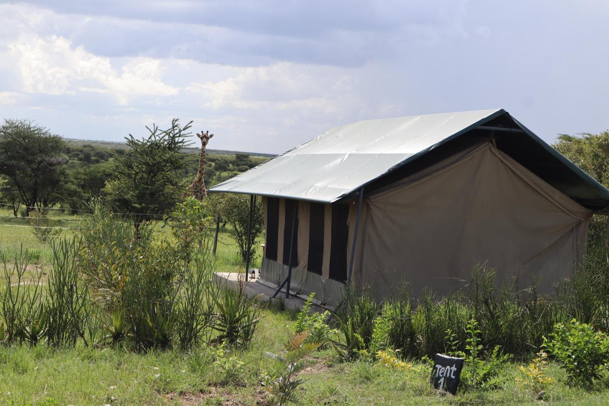 Kambu Mara Camp Otel Sekenani Dış mekan fotoğraf